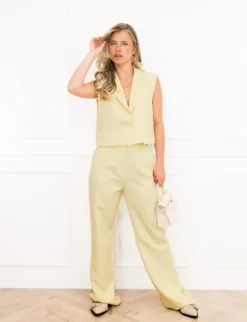Britt gilet geel