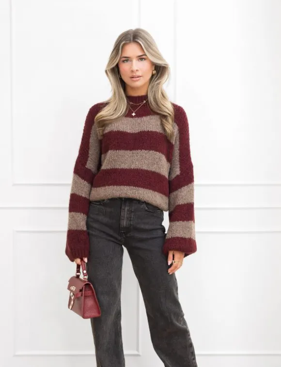 Kiki trui taupe/bordeaux