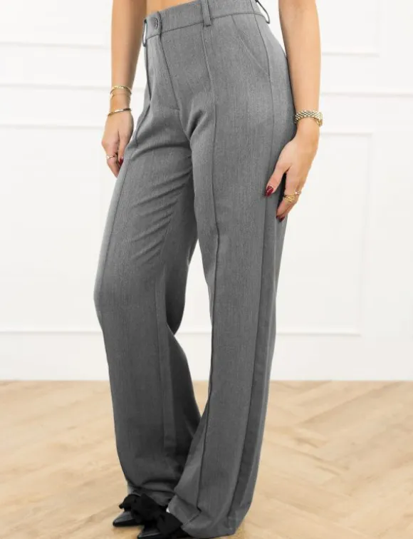 Terri pantalon grijs